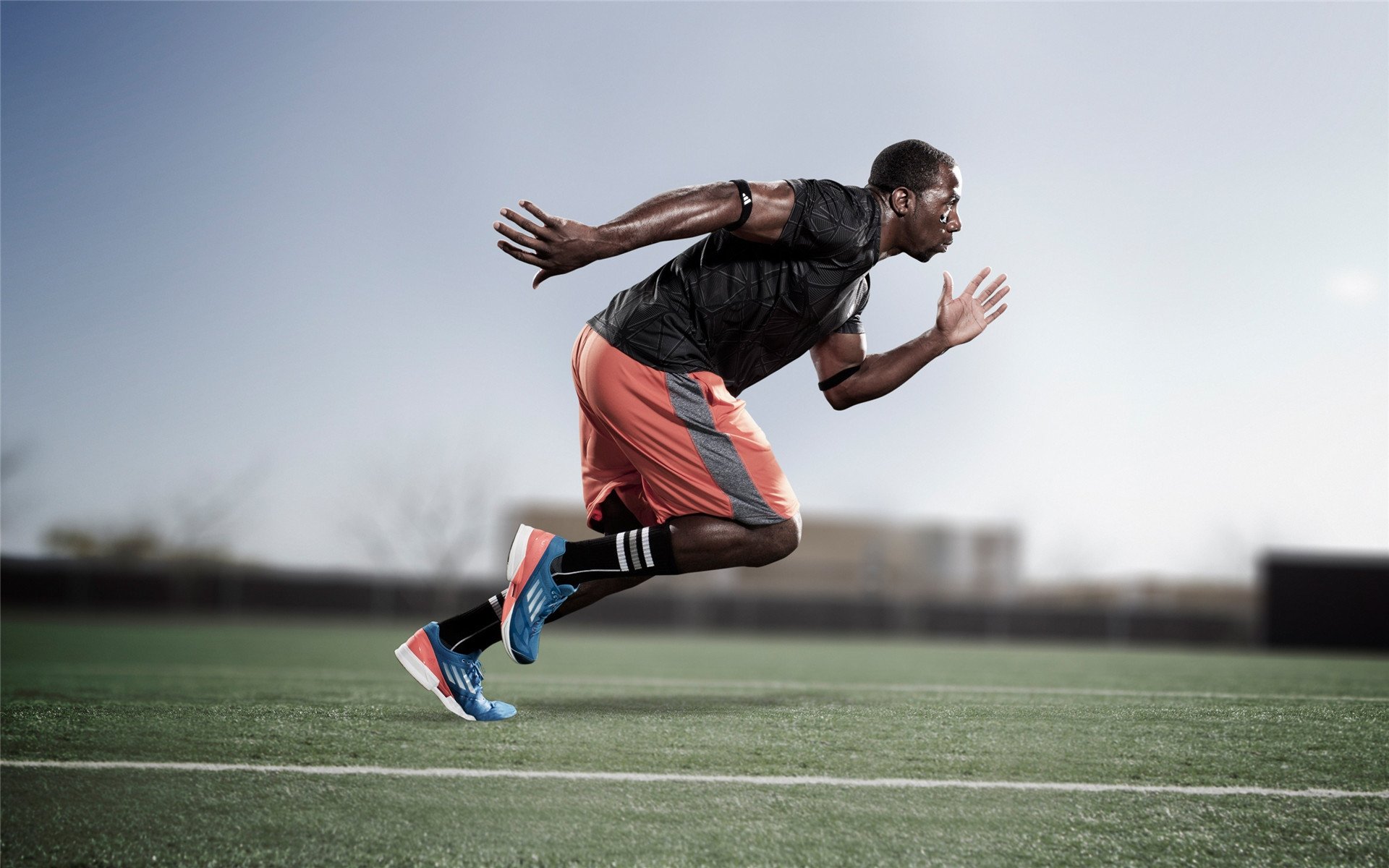 体育教学辅助技术应用现状与展望，体育教学辅助技术应用现状与展望论文